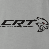 Critical Race Theory