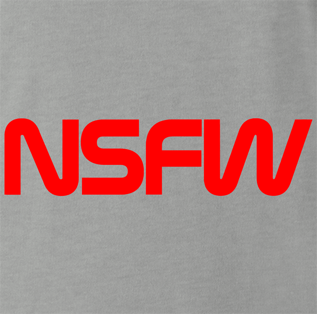 funny not safe for work NASA t-shirt men's grey