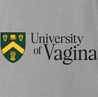 funny university of regina university of vagina mashup t-shirt men's ash gray