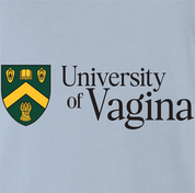 funny university of regina university of vagina mashup t-shirt men's light blue