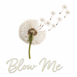 Blow Me