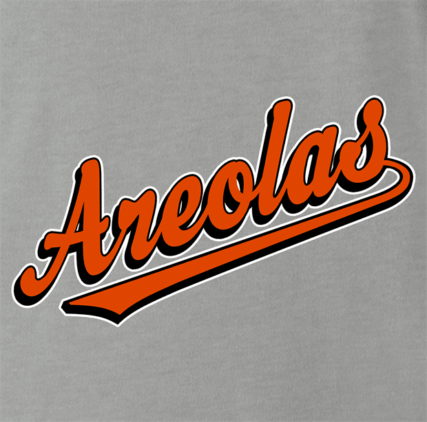 funny Baltimore Areolas America's Best Baseball Team ash grey t-shirt