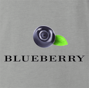 funny Blueberry British fashion t-shirt men's grey