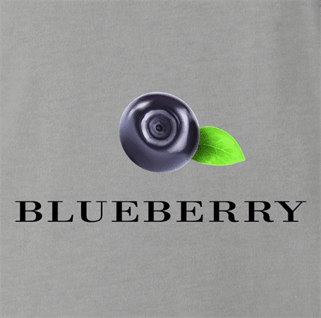 funny Blueberry British fashion t-shirt men's grey