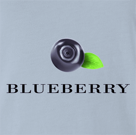funny Blueberry British fashion t-shirt men's light blue
