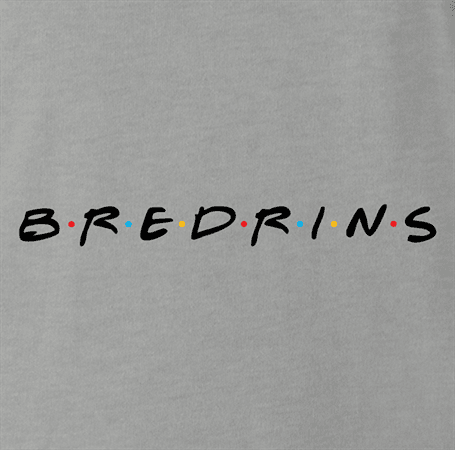 funny friends bredrin t-shirt men's grey
