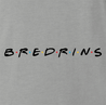 funny friends bredrin t-shirt men's grey