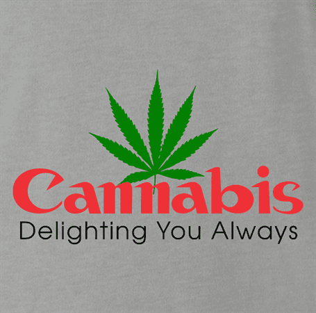 Funny cannabis logo camera parody t-shirt grey