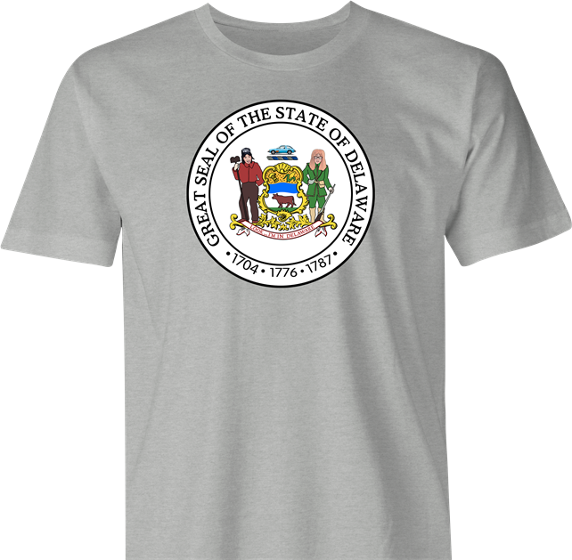 funny wayne's world delaware t-shirt men's grey 