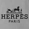 funny novelty hermes herpes parodys t-shirt grey