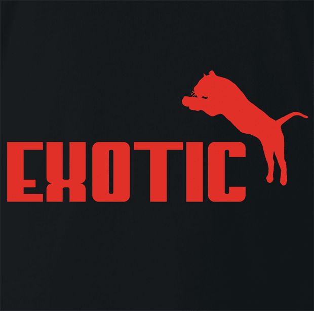 funny Joe Exotic Tiger King Netflix Parody black t-shirt