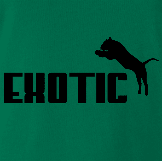 funny Joe Exotic Tiger King Netflix Parody Kelly Green t-shirt