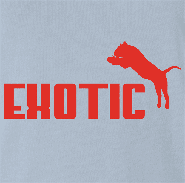 funny Joe Exotic Tiger King Netflix Parody Light Blue Tee
