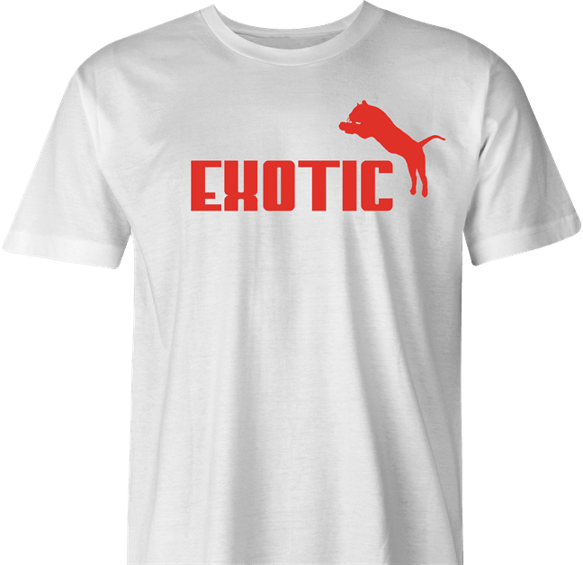 funny Joe Exotic Tiger King Netflix Parody men's t-shirt