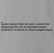 funny lorem ipsum t-shirt men's grey