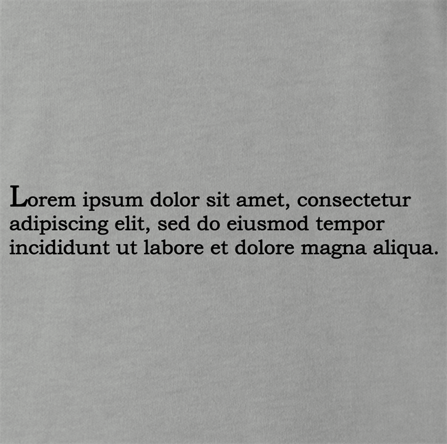 funny lorem ipsum t-shirt men's grey