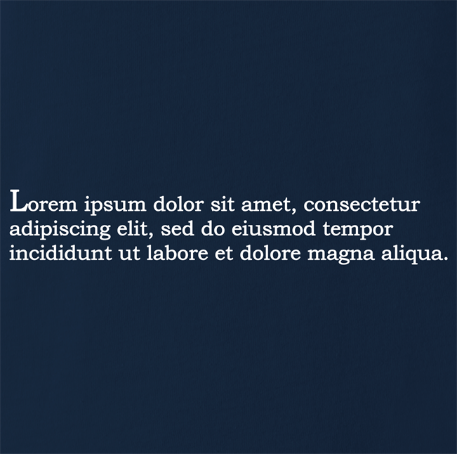funny lorem ipsum t-shirt men's navy blue