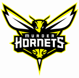 Murder Hornets