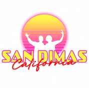 Funny San Dimas High School Football Rules! Bill & Ted's Parodywhite tee