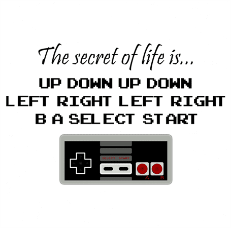 Funny secret to life nintendo unlimited lives white tee