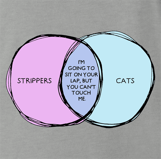 funny Strippers and Cats Overlap Graph Parody ash grey t-shirt