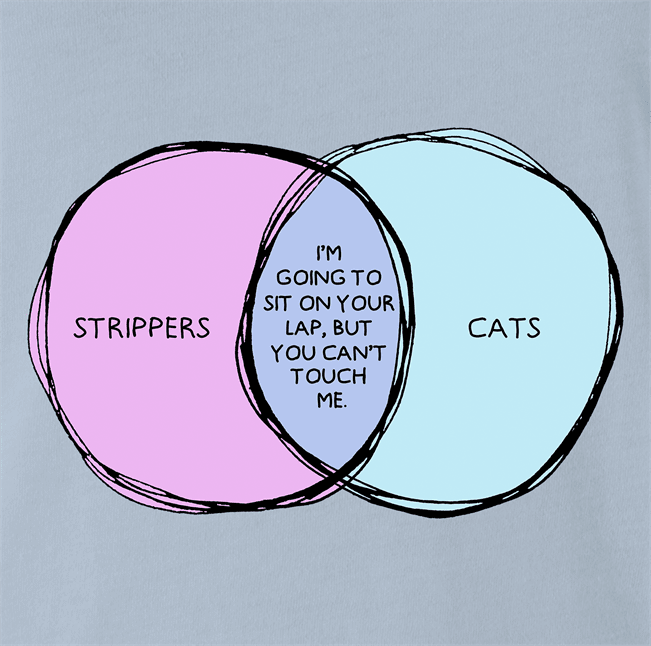 funny Strippers and Cats Overlap Graph Parody Light Blue t-shirt