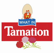 funny Yosemite Sam What In Tarnation? Looney Tunes Mashup t-shirt