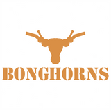 Texas Bonghorns