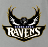 Funny Gam of thrones football Three Eyed Ravens Ash t-shirt 