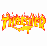 Thresher Shark