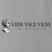 Famous quote veni vidi vici Julius Caesarfunny t-shirt grey 