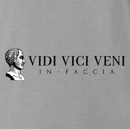 Famous quote veni vidi vici Julius Caesarfunny t-shirt grey 