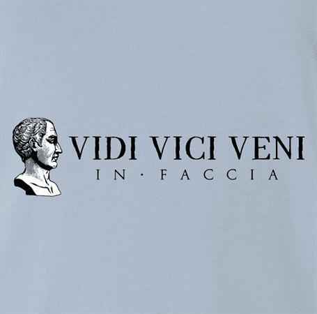 Famous quote veni vidi vici Julius Caesarfunny t-shirt light blue