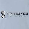 Famous quote veni vidi vici Julius Caesarfunny t-shirt light blue