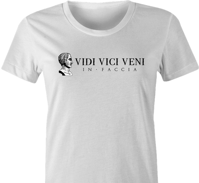  Vidi Vici Veni, Saw, Conquered, Came - Funny Shirt : Clothing,  Shoes & Jewelry