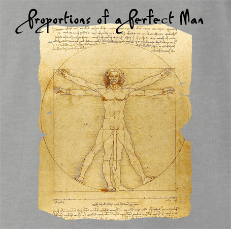 Funny perfect man leonardo da vinci well endowed ash grey t-shirt