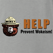 funny anti woke wokey the bear men's grey t-shirt