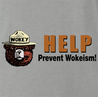 funny anti woke wokey the bear men's grey t-shirt